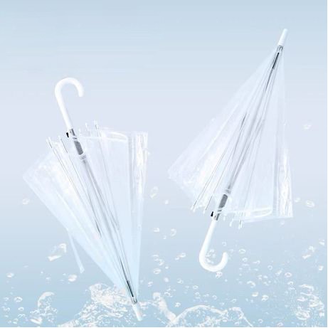 Transparent Plastic Auto Open Long Handle Umbrella