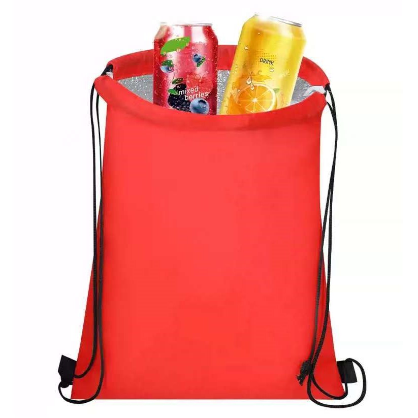 Insulated Drawstring Cooler Bag