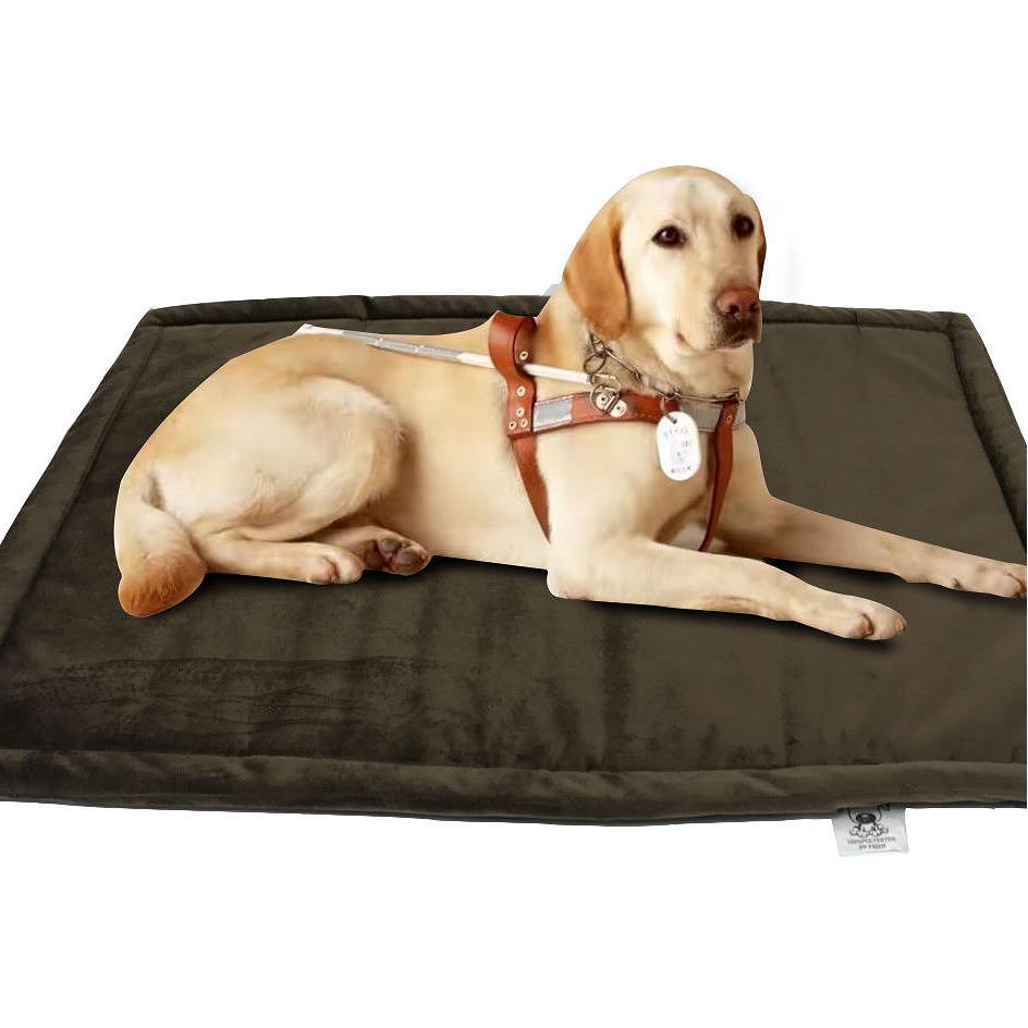 Water-Resistant Insulated Self-Warming Pet Bed Mat