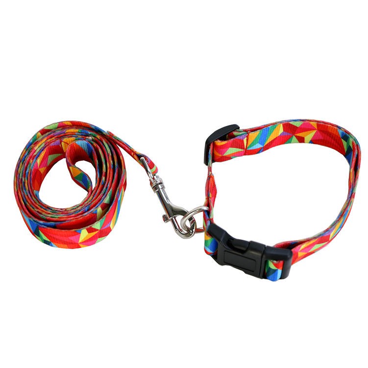 Printed Pet Leash w/Collar