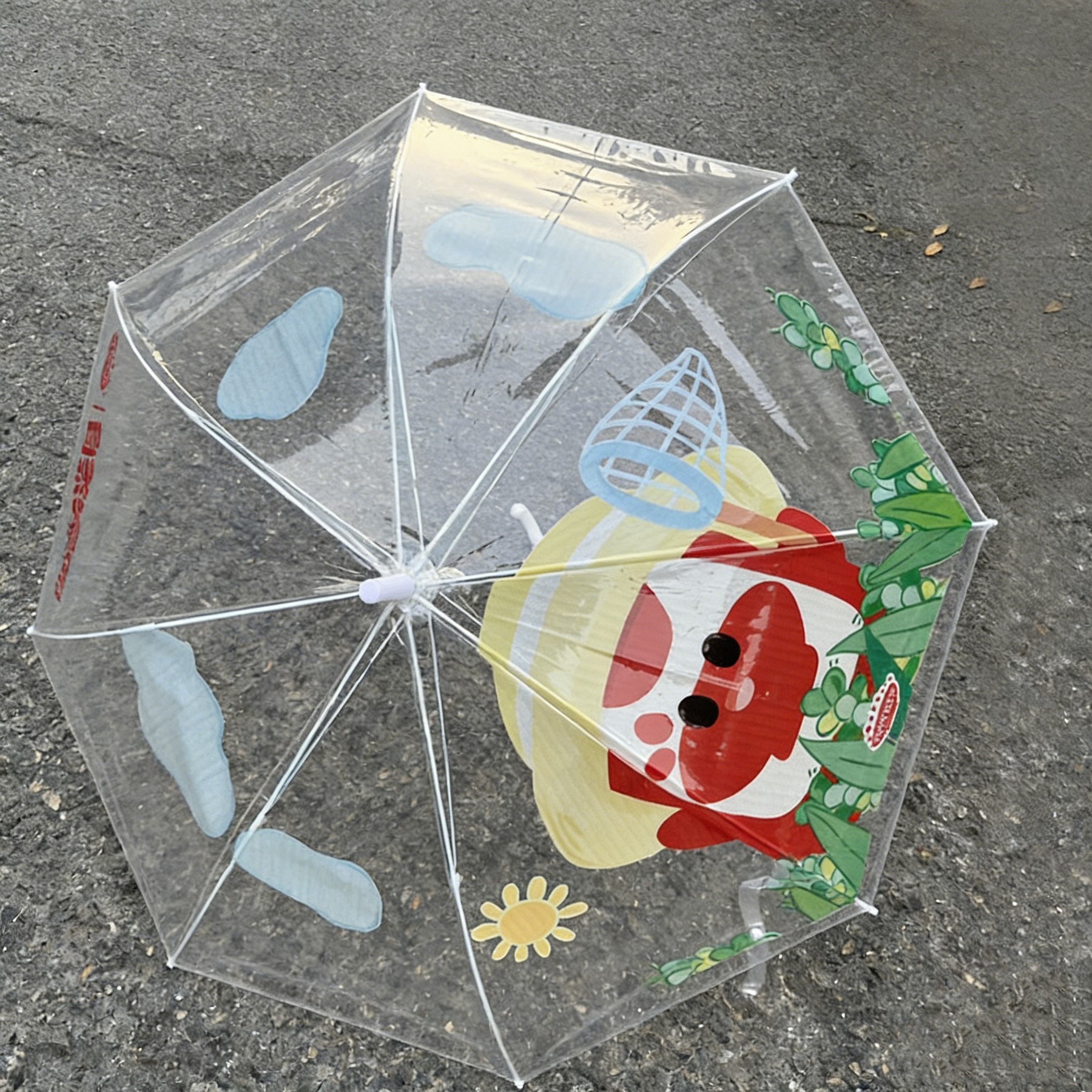 Long Handle Transparent Umbrella