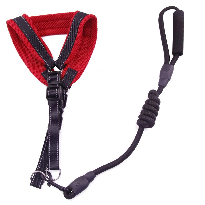 Adjustable Breathable Pet Leash