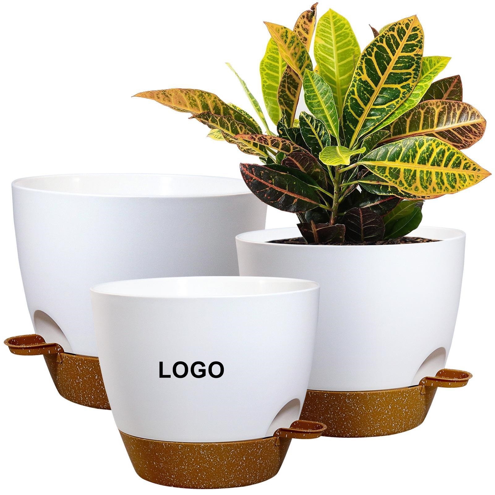 Self Watering Plant Pot